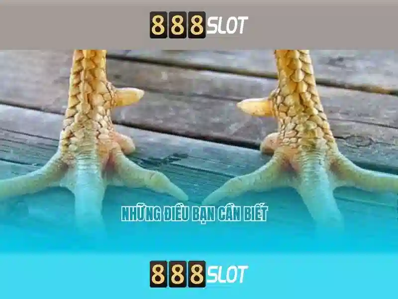 888slot apk