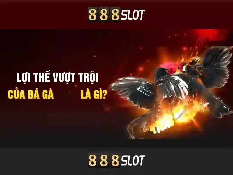 người chơi thường xuyên