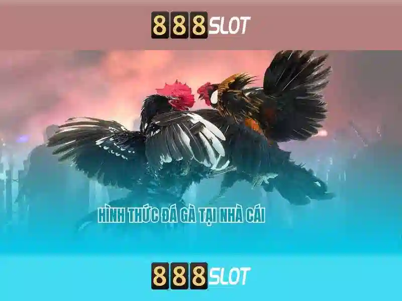 Ưu Đãi 888SLOT
