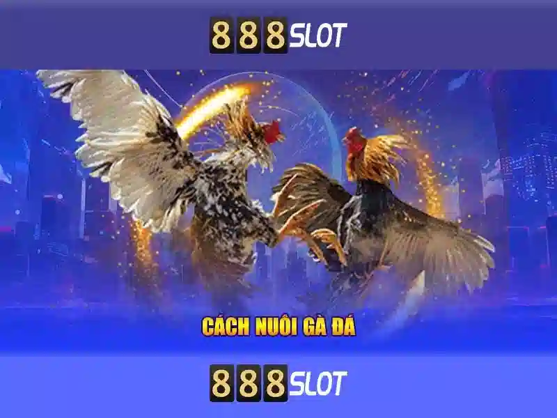 888SLOT – Trang Chủ | 888SLOT – Slot, Casino, Thể Thao, Xổ Số, Bắn Cá, Nổ Hũ, Game Bài 3D, Khuyến Mãi, Mẹo Cá Cược, Đại Lý