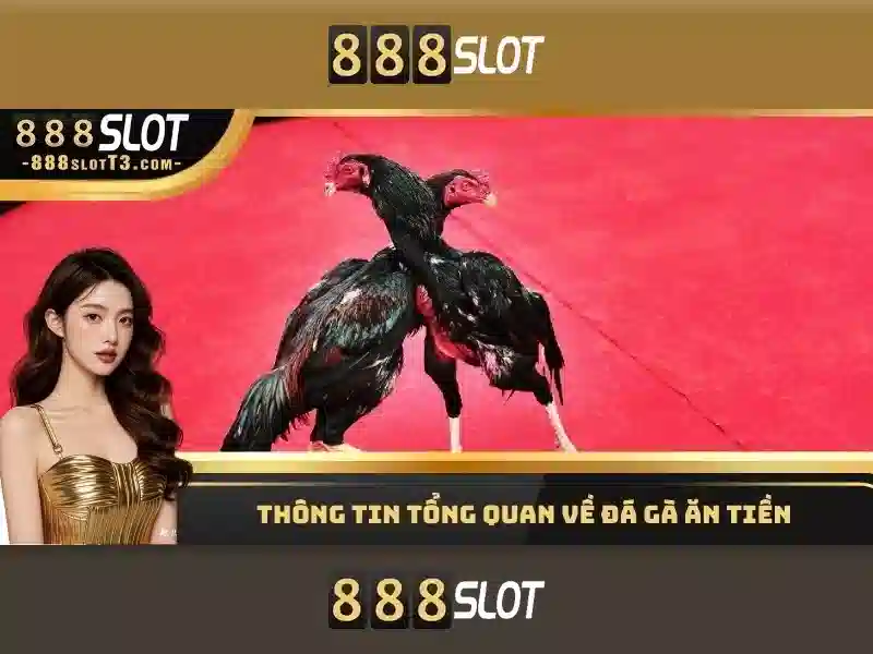 Hướng Dẫn Sử Dụng App Slot