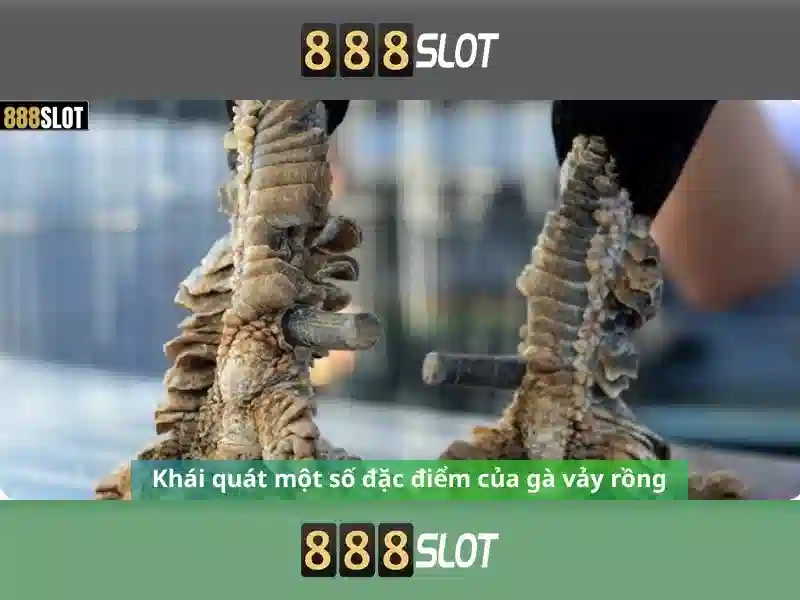 Kinh Nghiệm Chơi Game Slot 888SLOT Mới Nhất 2026