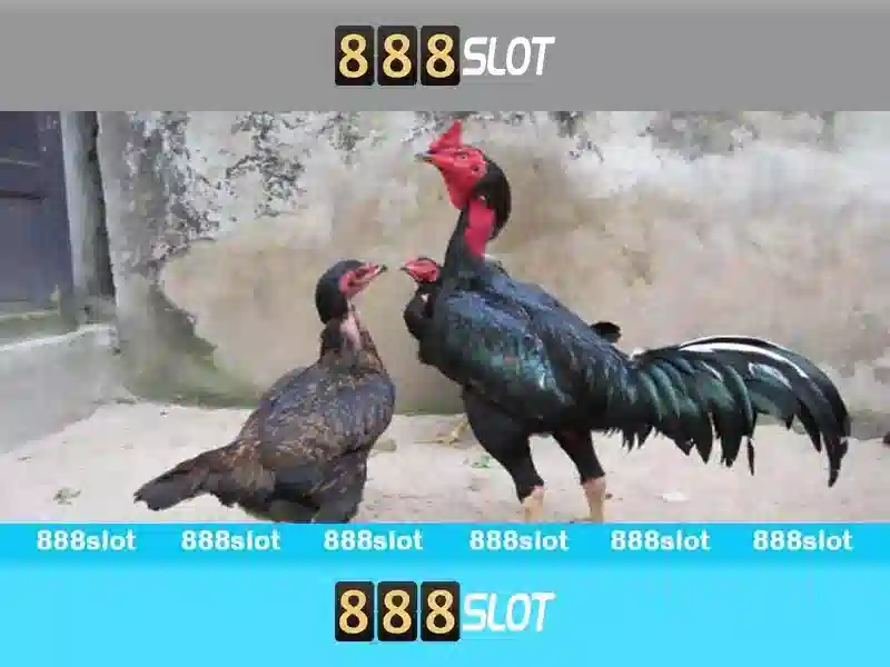 Tại Sao Nên Chọn 888SLOT