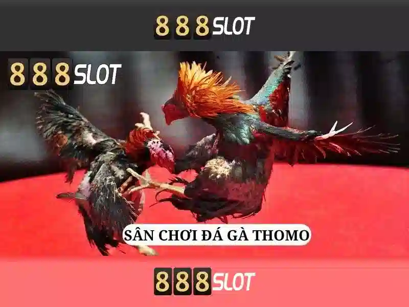 888SLOT – Trải Nghiệm Đỉnh Cao Với Link Vào 888SLOT Chính Thức Không Bị Chặn 2026