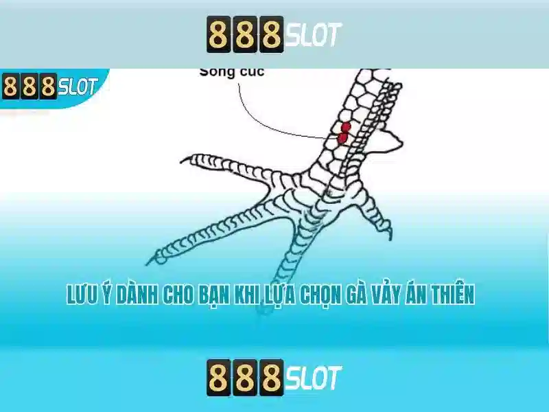 Slot 888SLOT
