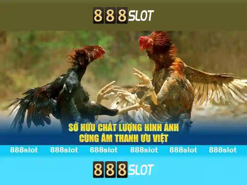 Hướng dẫn đăng nhập