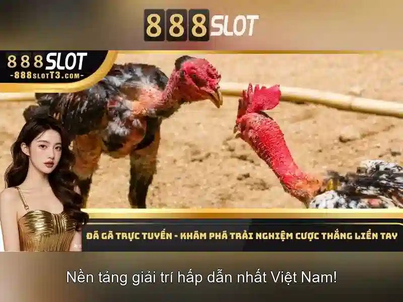 trải nghiệm cá cược