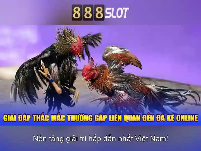 Bắn Cá Đổi Thưởng