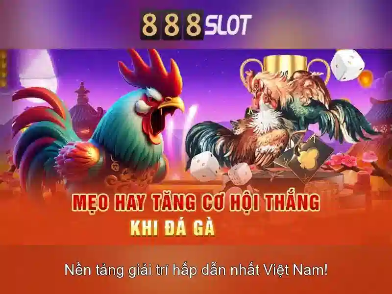 Slot 3D IMG_E</p><h2><strong>**Tải 888slot**</strong> - Hướng Dẫn Chi Tiết Cho Người Mới</h2><p>Để thực hiện <strong>**tải 888slot**</strong>, người chơi có thể làm theo các bước sau:</p><ol><li>Truy cập <a href='https://king888-slot.com' title='888SLOT'>888SLOT</a> và chọn mục <strong>**tải 888slot**</strong></li><li>Tải ứng dụng về thiết bị di động hoặc cài đặt trên trình duyệt</li><li>Tạo tài khoản và tham gia trải nghiệm game slot ngay lập tức</li></ol><p>Quy trình <strong>**tải 888slot**</strong> đơn giản, chỉ mất khoảng 3 phút để hoàn tất. Sau khi tải 888slot thành công, người chơi sẽ được hưởng nhiều ưu đãi đặc biệt.</p><h3>Khuyến Mãi Cho Người Tải 888slot</h3><p>Khi thực hiện <strong>**tải 888slot**</strong>, người chơi sẽ nhận được các ưu đãi hấp dẫn như:</p><ul><li>Giảm giá 50% cho lần nạp đầu đầu tiên</li><li>Quà tặng tiền thưởng ngay khi đăng ký tài khoản</li><li>Ưu đãi đặc biệt cho người tải 888slot trong tháng</li></ul><p class='body_img'><div class=
