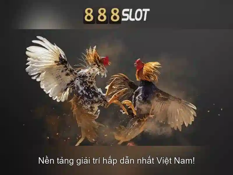 Trải nghiệm slot game 888slot net
