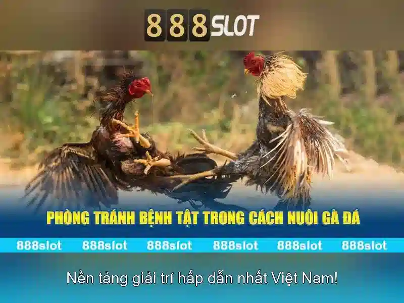 Trải Nghiệm Chơi Slot