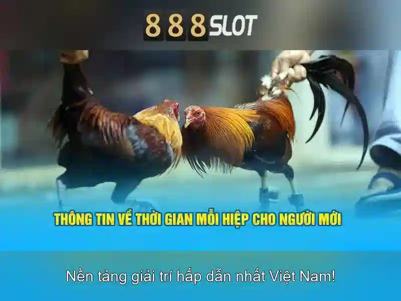 888SLOT - Nền Tảng Slot Đỉnh Cao