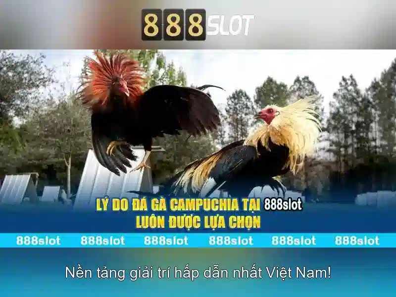 Trải Nghiệm Chơi Slot Tại 888slot Link
